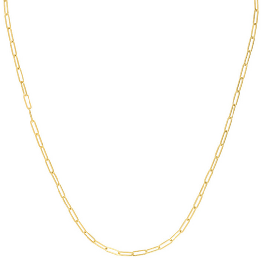 14K Gold Sole Medium Paperclip Chain