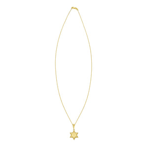 14K Prosecco Star of David Pendant