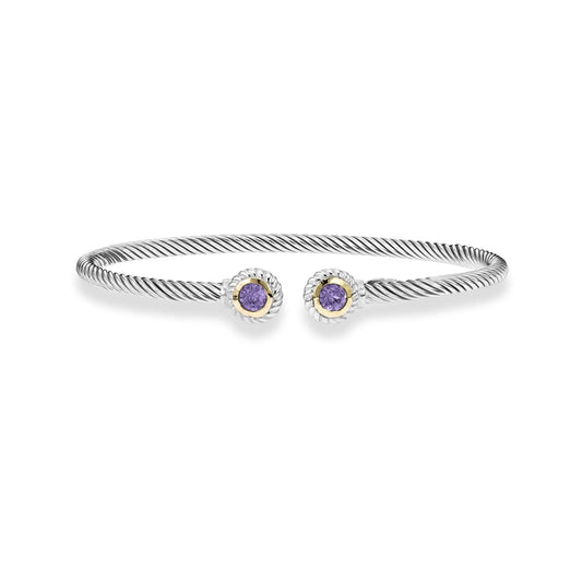 Silver & 18K Round Tip Amethyst Bracelet
