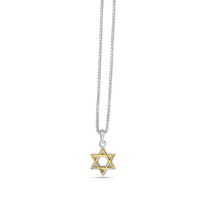Silver & 18K Gold Star Of David Necklace