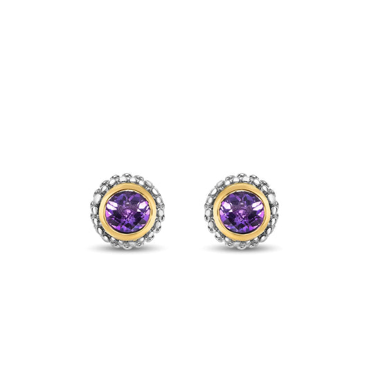 Silver & 18K Gold Prosecco Amethyst Stud Earrings